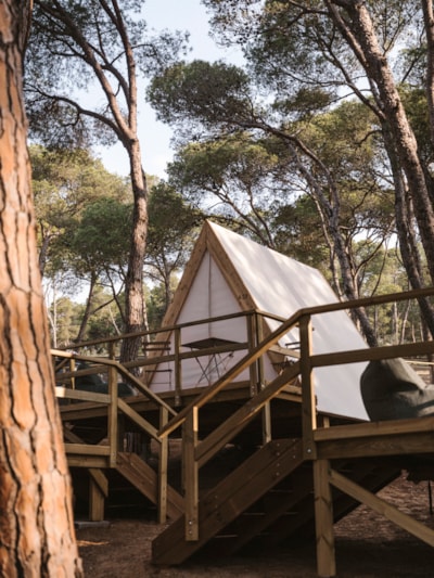 Cabin Tent — 5