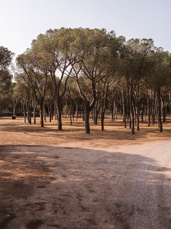 Emplacement Plus (Les Tentes Ne Sont Pas Autorisées)