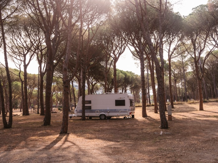 Emplacement Plus (Les Tentes Ne Sont Pas Autorisées)