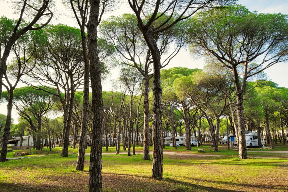 Emplacement - Emplacement Pour Camping-Car (Les Tentes Ne Sont Pas Autorisées) - Wecamp Cala Montgó