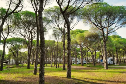 Parcela Para Furgoneta Camper (No Se Admiten Tiendas De Campaña)