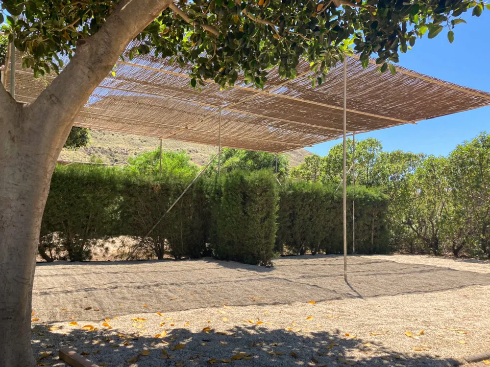 Stellplatz - Standard Stellplatz (Keine Zelte Erlaubt) - Wecamp Cabo de Gata