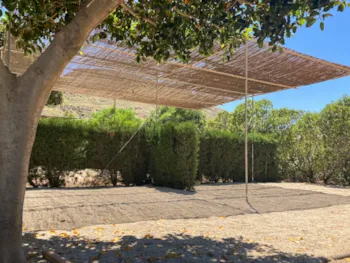 Stellplatz - Standard Stellplatz (Keine Zelte Erlaubt) - Wecamp Cabo de Gata