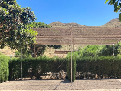 STANDARD PITCH (no tents allowed) — 3