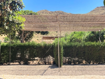 PLUS PITCH (no tents allowed) — 1