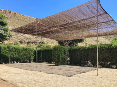 PLUS PITCH (no tents allowed) — 2