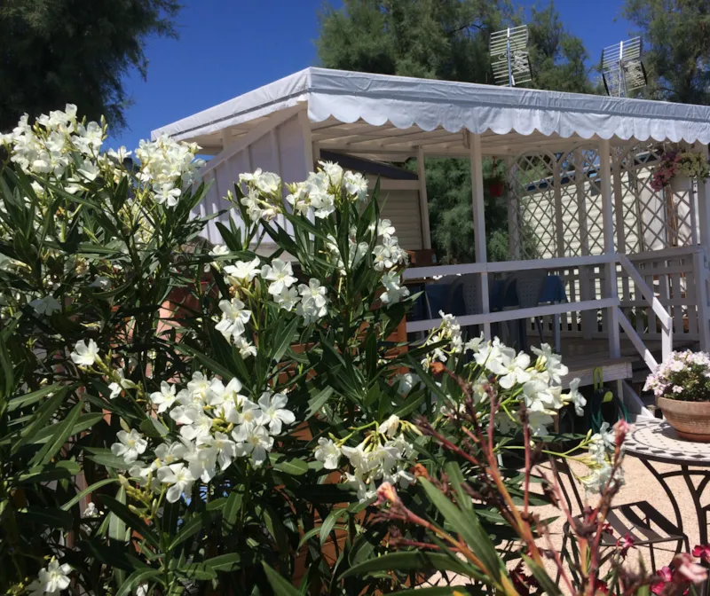 Mobil-Home N°111 - 2 Chambres - Vue Étang