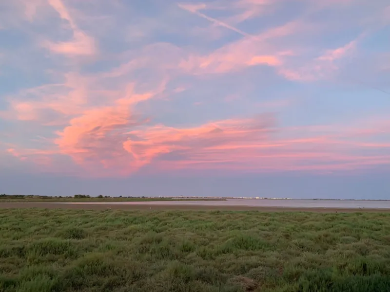 Mobil-Home Flamingo - 2 Chambres - Vue Étang