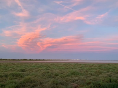 Mobile-home Flamingo - 2 bedrooms - pond view — 3
