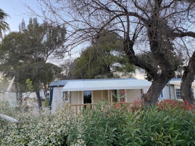 Mobile-home Nest N°85 - 2 bedrooms — 4