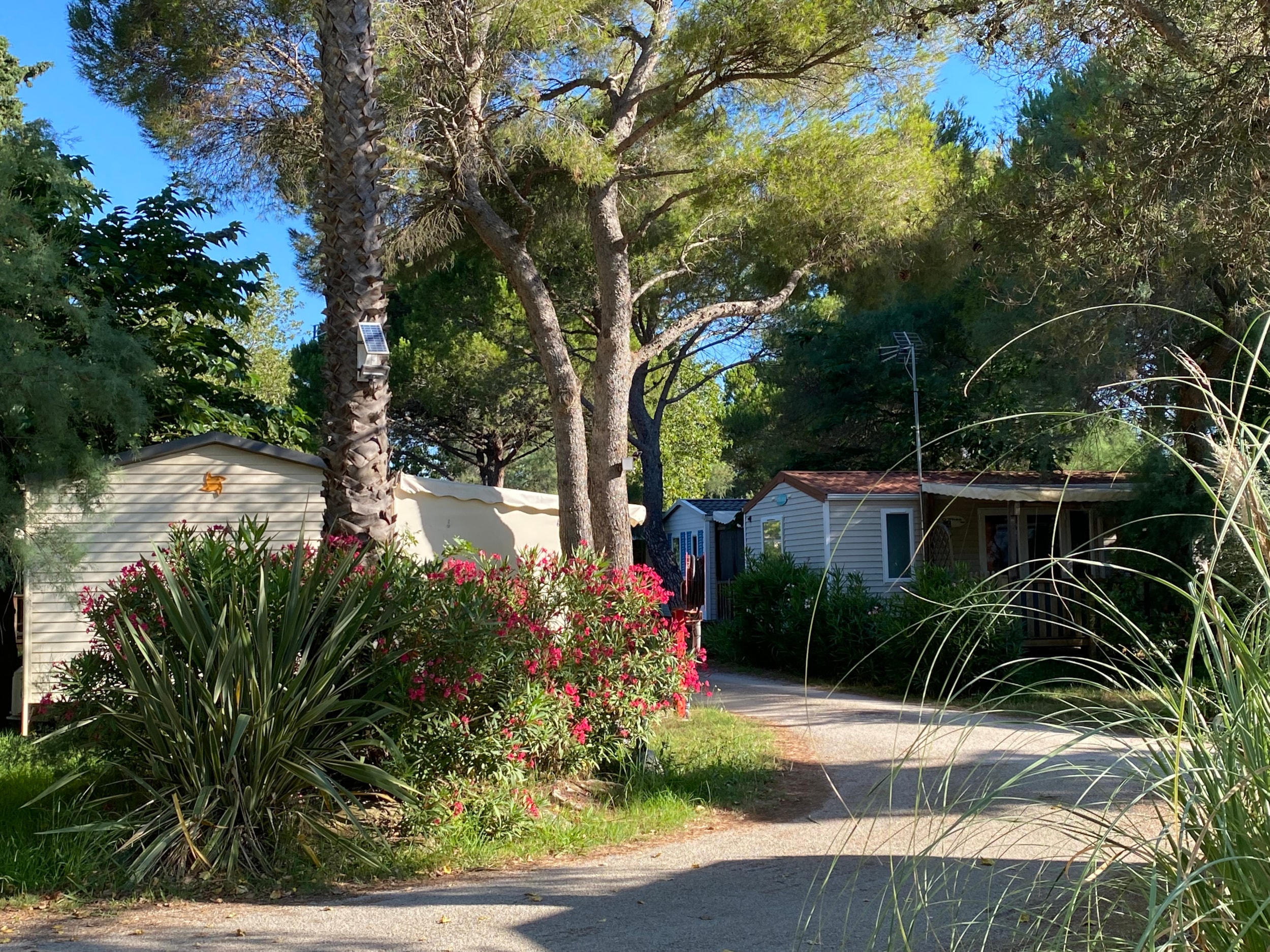 Camping de l'Arnel — Photo 6