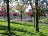 Foto #3 van Camping Homair – Paris Est