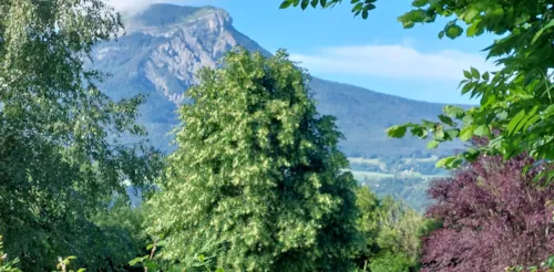 Location - Mobil-Home Cahita - image n°3 - Camping Belvédère de l'Obiou