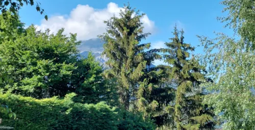 Location - Mobil-Home Super Mercure  (Mercredi / Samedi) - image n°4 - Camping Belvédère de l'Obiou
