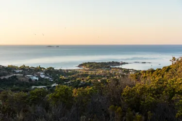 Camping-Village Acqua E Sole - image n°2 - Camping Direct