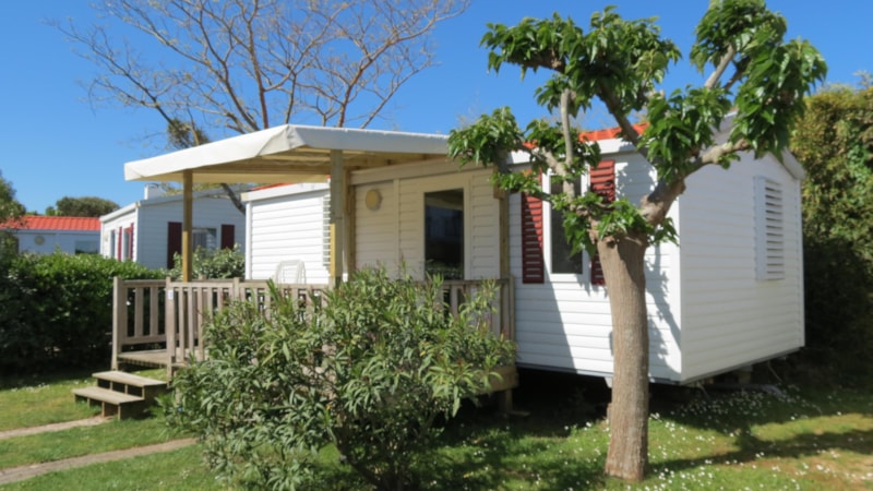 Mobilhome BASIC+ 28 m² - 2 slaapkamers, terras