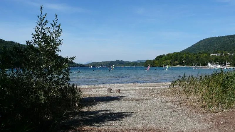 Flower Camping Ser Sirant