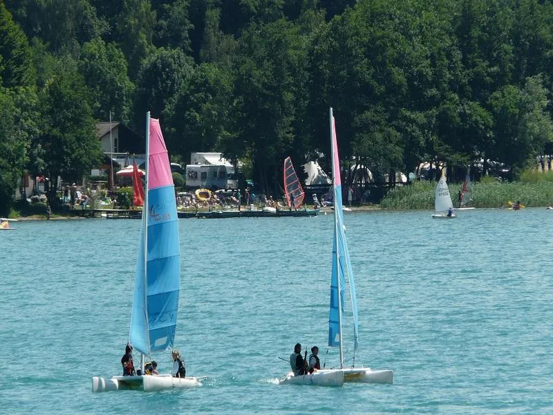 Flower Camping Ser Sirant