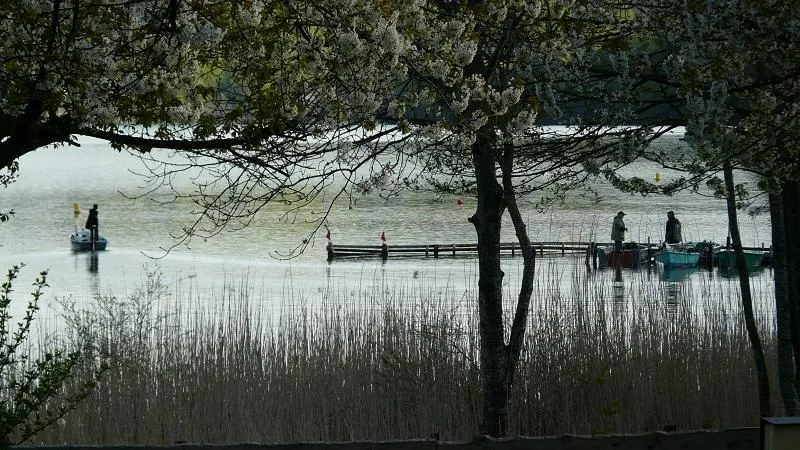 Flower Camping Ser Sirant