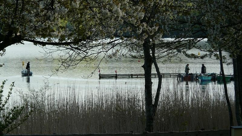 Flower Camping Ser Sirant — Foto 6