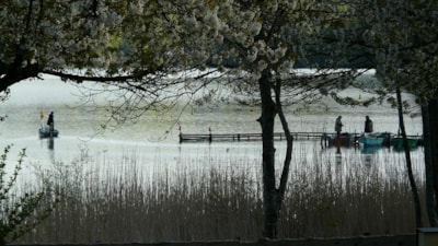 Flower Camping Ser Sirant