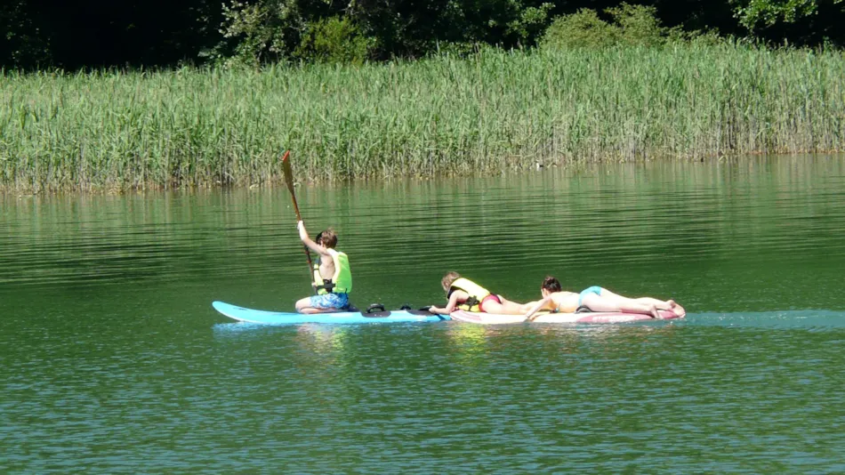 Flower Camping Ser Sirant