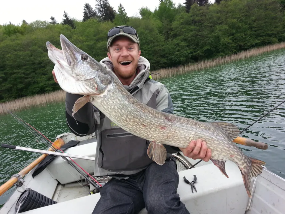 Flower Camping Ser Sirant