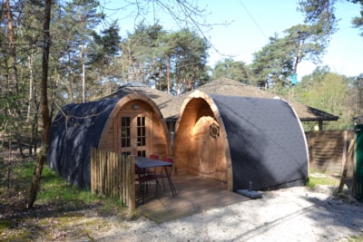 Pod