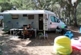 Foto #4 van Camping U Pinarellu