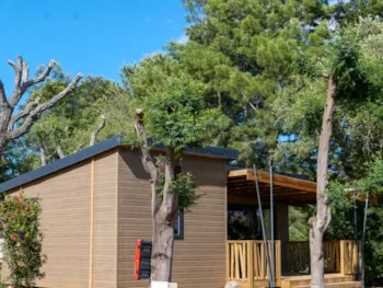 Mietunterkunft - Chalet Bucòlicu Mit Teichblick Exclusive - Camping U Pinarellu