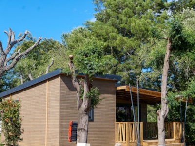Chalet Bucòlicu with pond view  Exclusive