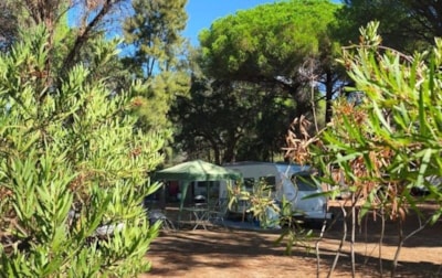 Pitch caravan -