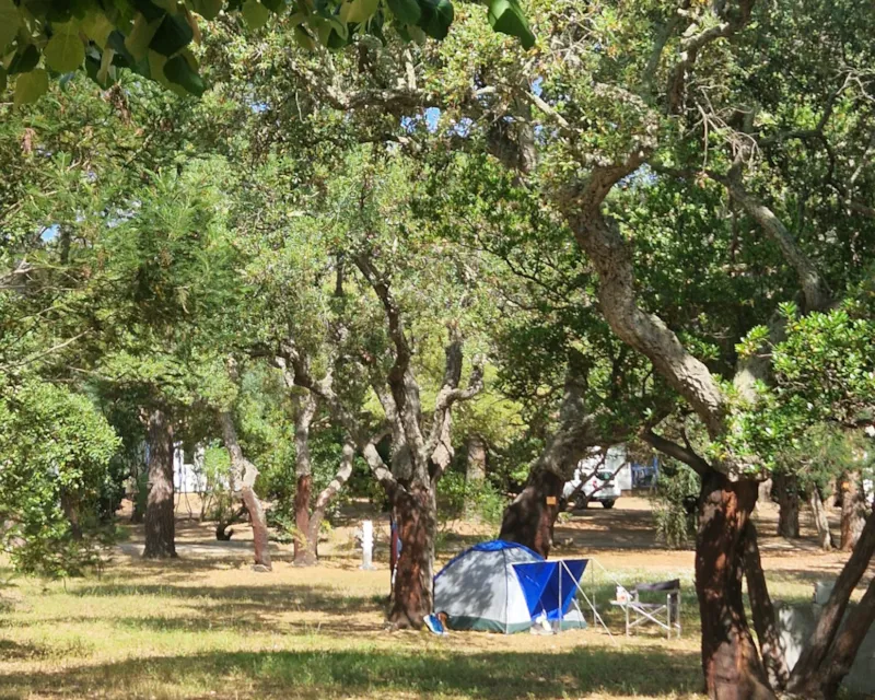 Emplacement Tente Igloo -