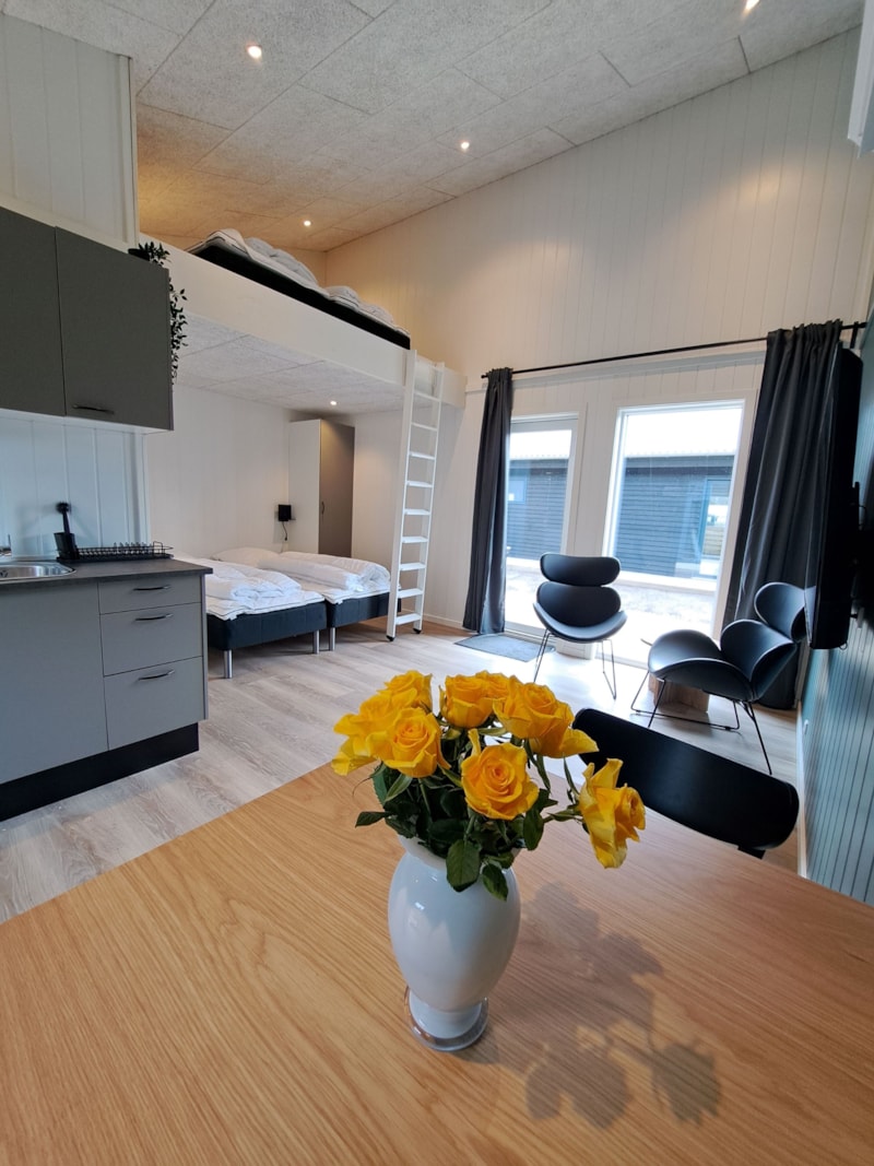 Glyngøre Cabins  Luxury