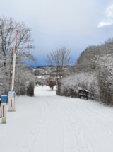 Foto #7 van Toftum Bjerge Camping