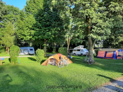 Pitch Tent — 1