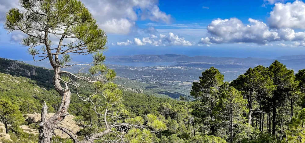 Camping Porto Vecchio