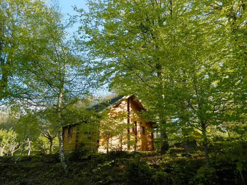 Chalet Bois