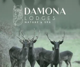 Damona Lodges