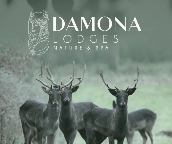 Damona Lodges - image n°1 - Camping Direct