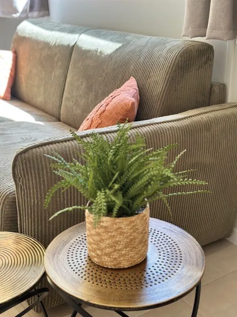 Lodge Ethnique Sans Spa 1 Chambre + Canapé Convertible Séjour