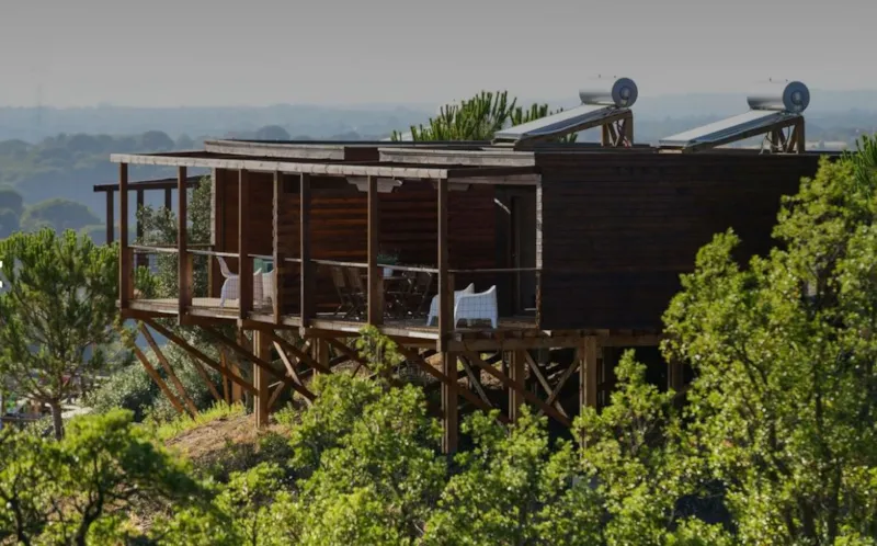 Bungalow Family Wood