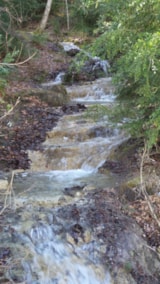 Foto #46 van Camping D’Herbelon