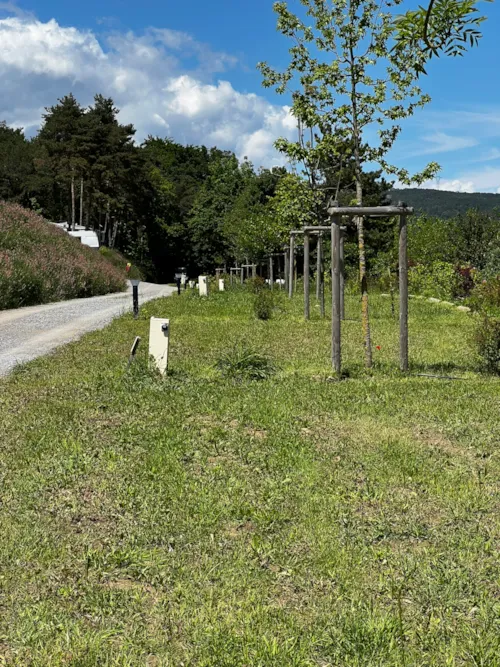 Stellplatz - Stellplatz Mit Seeblick: Umfasst 1 Fahrzeug, 1 Zelt Oder 1 Wohnwagen Oder 1 Van Oder 1 Wohnmobil - image n°3 - Camping D'Herbelon