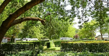 HARMONY CAMPING  - RhoneAlpes