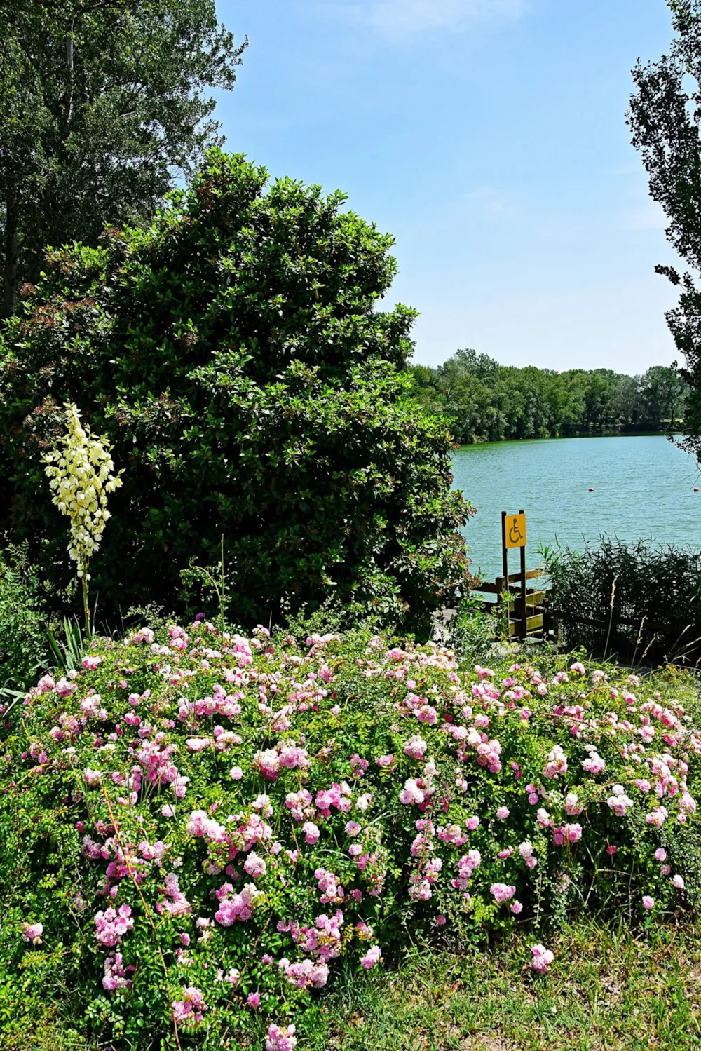 Harmony Camping - image n°6 - RhoneAlpes
