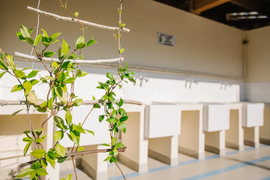 Camping Côté Vercors