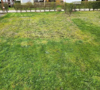 Stellplatz - Stellplatz : Auto + Zelt Oder Wohnwagen + Strom -  Camping Le Clos de Savoye 