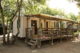 Koawa Pavillon Classic + Pmr Koawa Pavillon Classic + Pmr