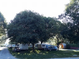 Camping Le Bois de Cornage - image n°6 - 